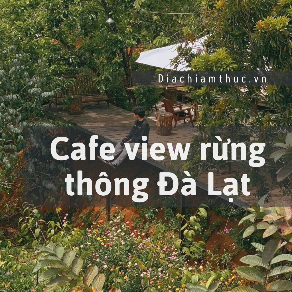 Cafe view rừng thông Đà Lạt