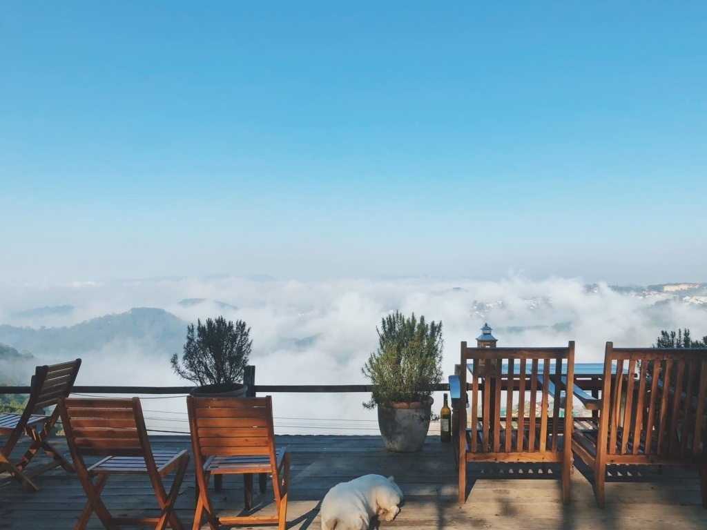 Chênh DaLat - cafe view rừng thông săn mây Đà Lạt