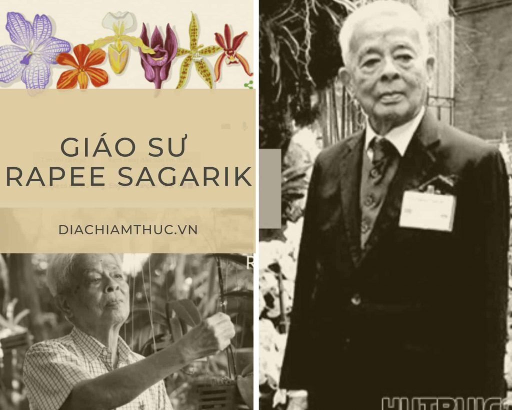 Giáo sư Rapee Sagarik