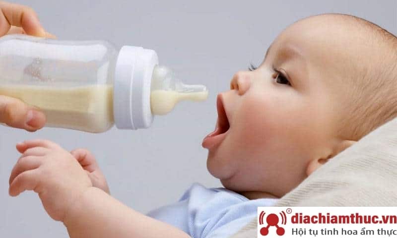Pha sữa non cho trẻ em