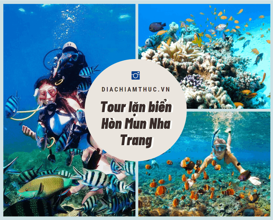 Tour lặn biển Hòn Mun Nha Trang
