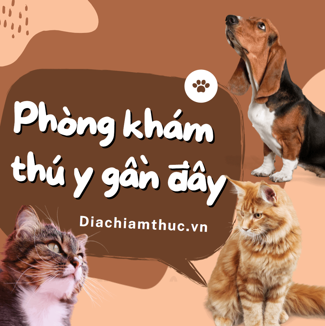 Phòng khám thú y nào gần đây nhất cam kết sử dụng thuốc an toàn?
