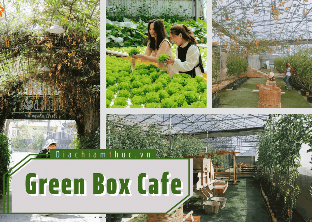 Green Box Cafe
