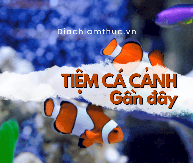 12 tiệm cá cảnh gần đây ở TPHCM đẹp, chất lượng nhất