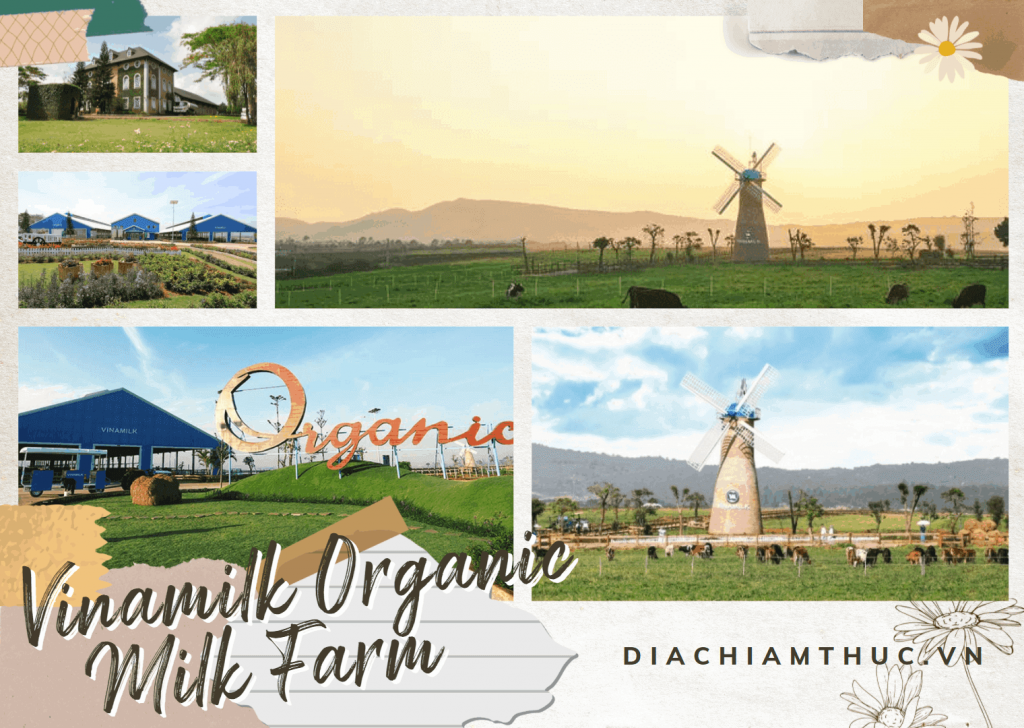 Vinamilk Organic Milk Farm