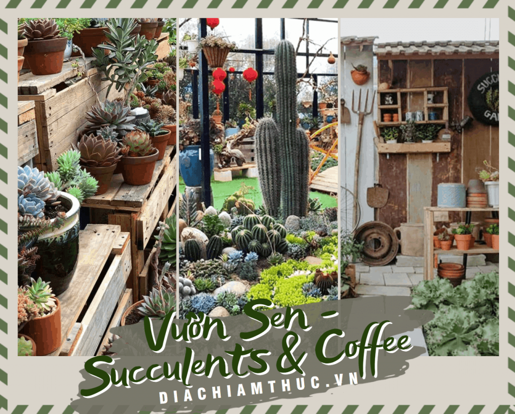 Vườn Sen - Succulents & Coffee