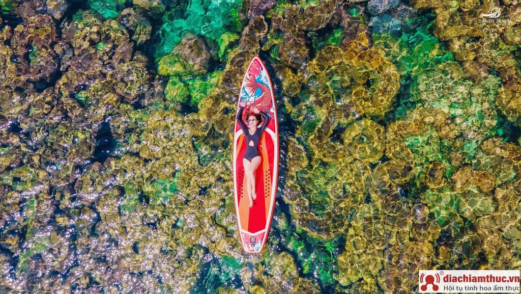 Tour chèo thuyền Kayak Phú Quốc 1 ngày