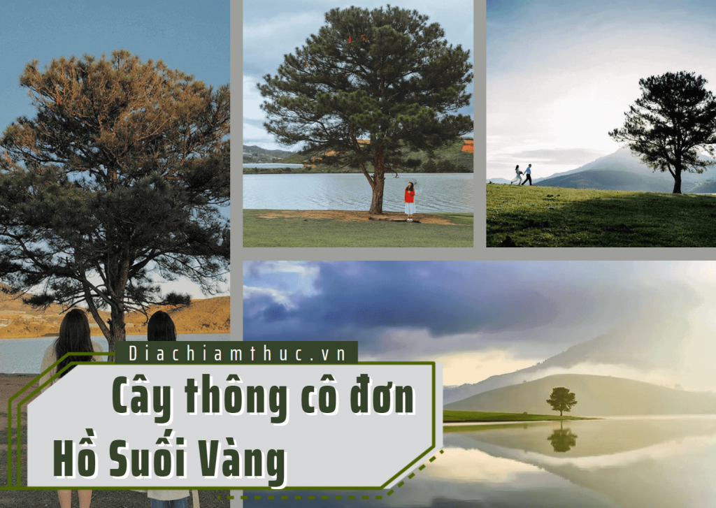 Cây thông cô đơn - Hồ Suối Vàng