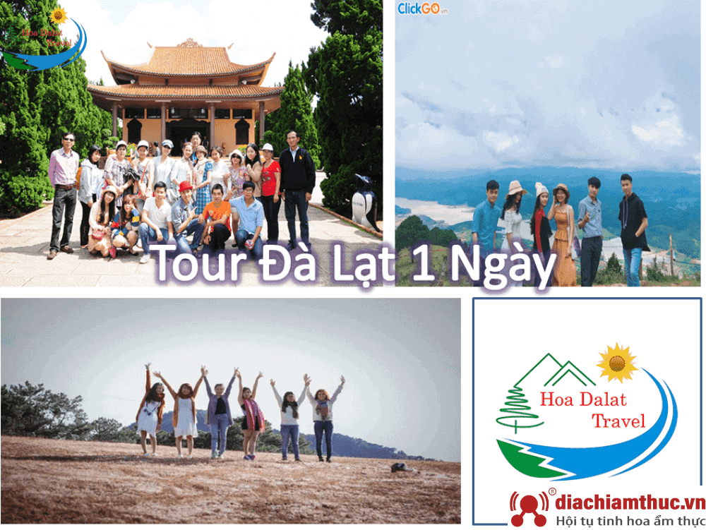 Các tour du lịch của Hoa Dalat Travel