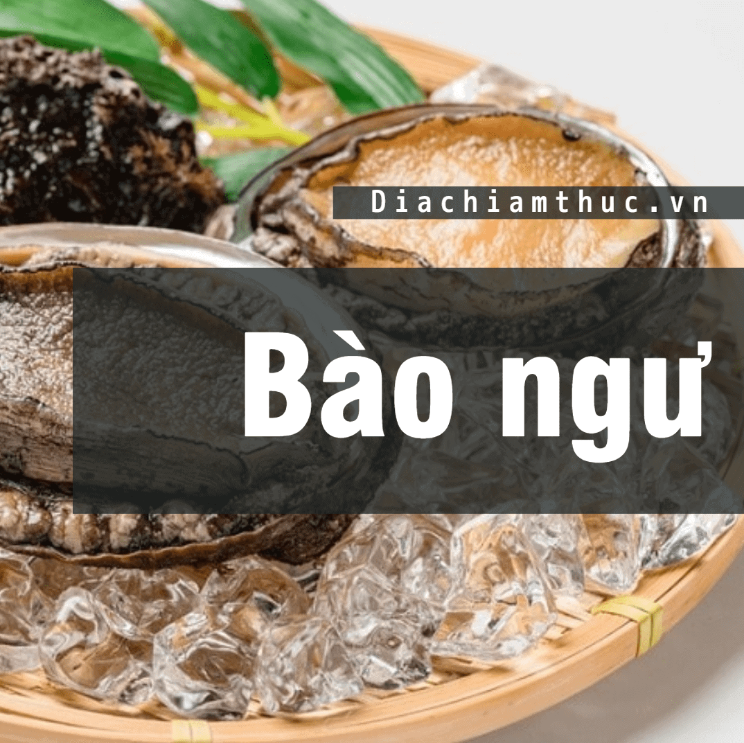 Bào ngư