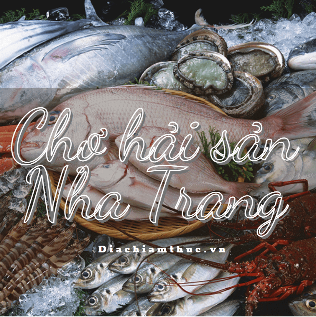 Nơi nào ở Nha Trang cung cấp hải sản tươi sống chất lượng?
