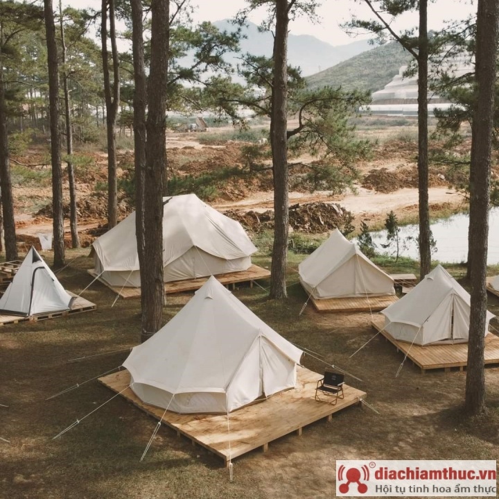 Cắm trại trong Rừng thông Đà Lạt