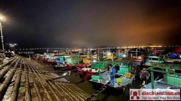 Chợ cá Cảng Hạ Long