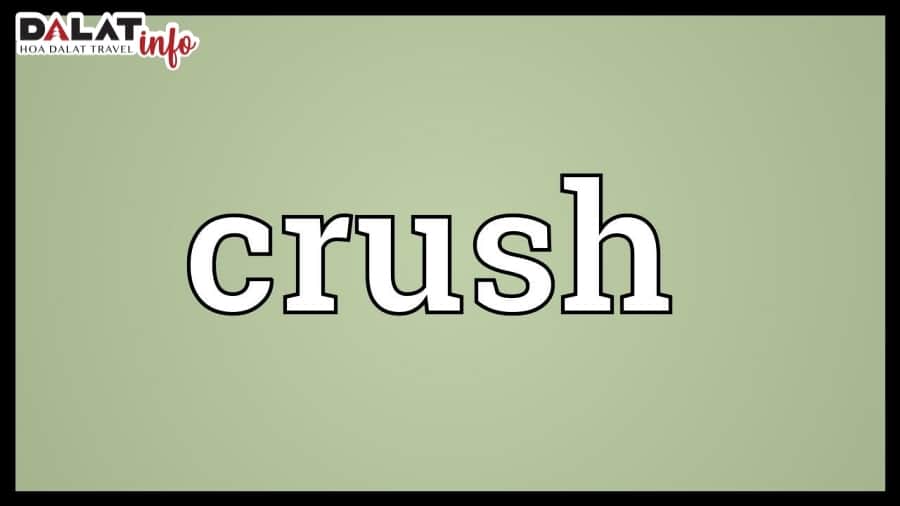 Crush tức là gì
