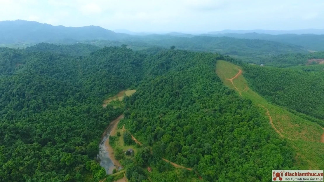 Hệ thống rừng nguyên sinh tại vườn quốc gia