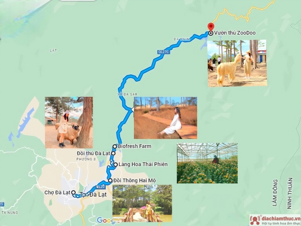 Bản đồ du lịch theo hướng đi sở thú Zoodoo