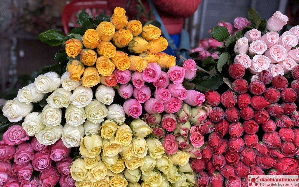 Hoa hồng cực kỳ được ưa chuộng bởi vẻ đẹp mong manh, đầy gợi cảm cùng mùi hương nhẹ nhàng