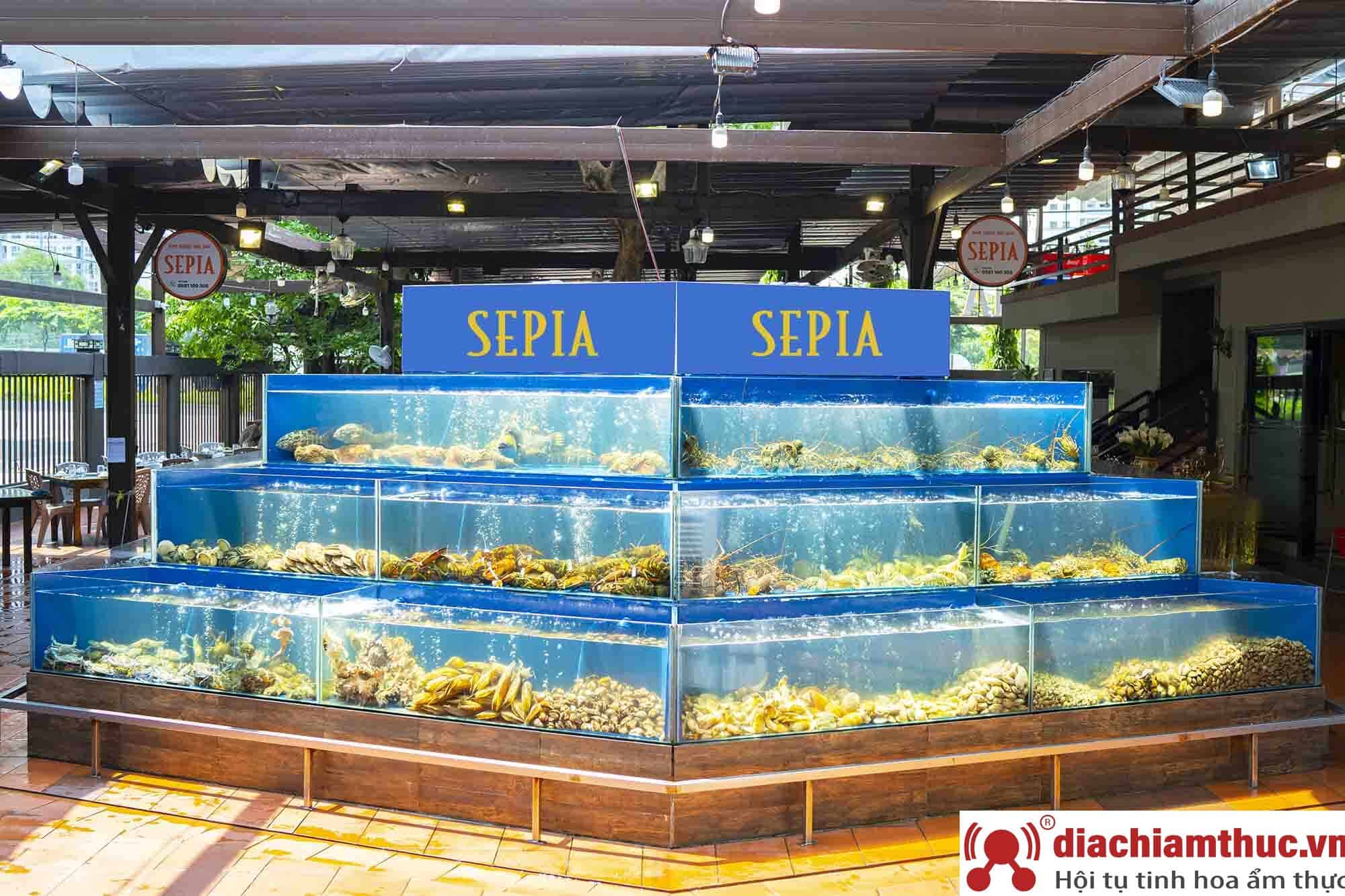 Quầy hải sản tươi sống tại nhà hàng Sepia