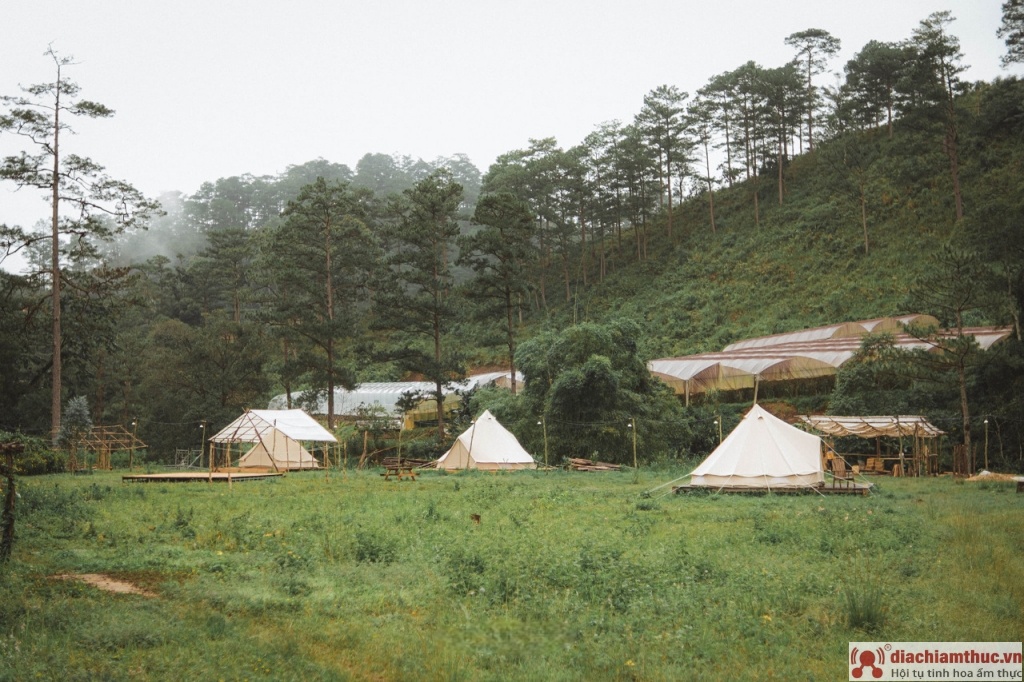 Các địa điểm camping Đà Lạt hướng về núi đồi đẹp