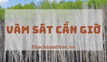 Du lịch Vàm Sát Cần Giờ