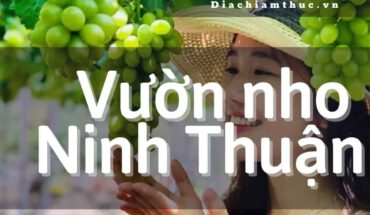 vườn nho ninh thuận