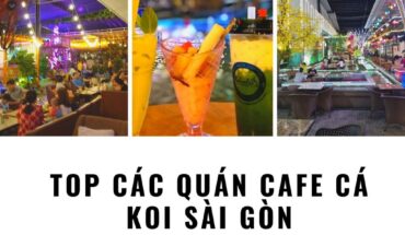 Cafe cá Koi Sài Gòn