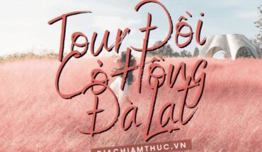 Tour đồi cỏ hồng Đà Lạt