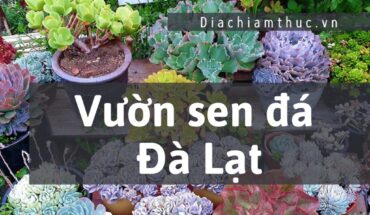 Vườn sen đá Đà Lạt