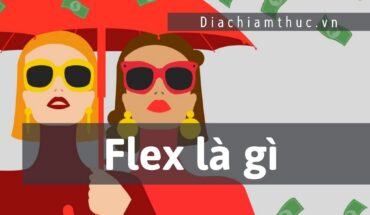 Flex là gì