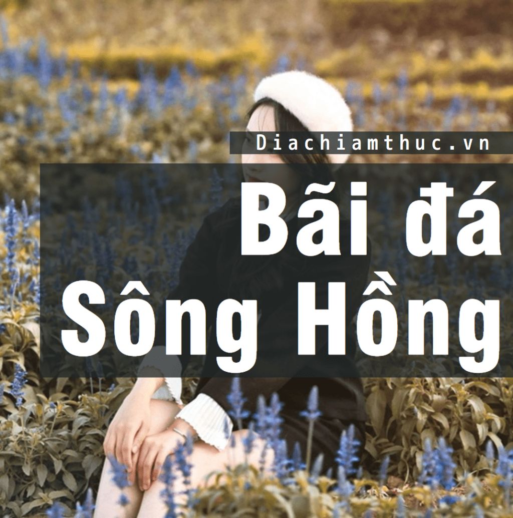 Bãi đá sông Hồng