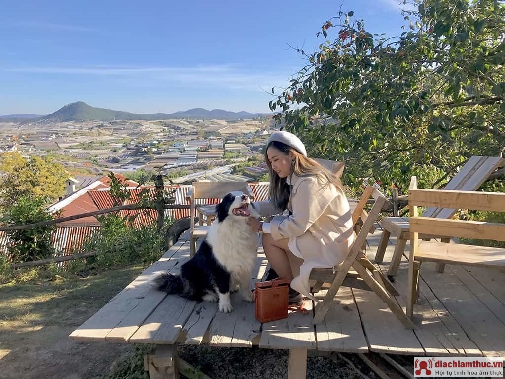 Quán café Túi Mơ To Đà Lạt