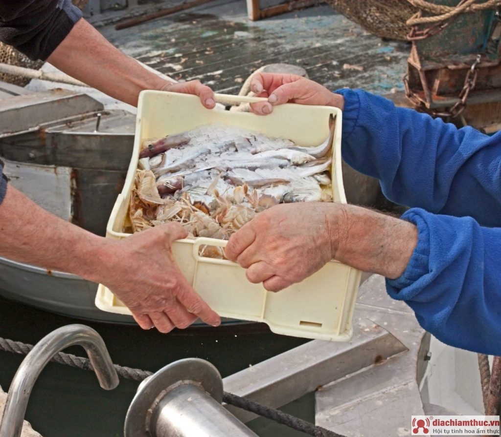 Xử lý hải sản trước khi bảo quản