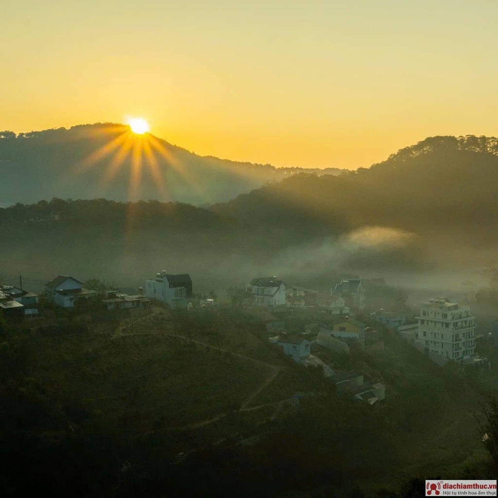 View thung lũng và rừng thông ở Hoa Xương Rồng Cafe lý tưởng để thư giãn và ngắm cảnh